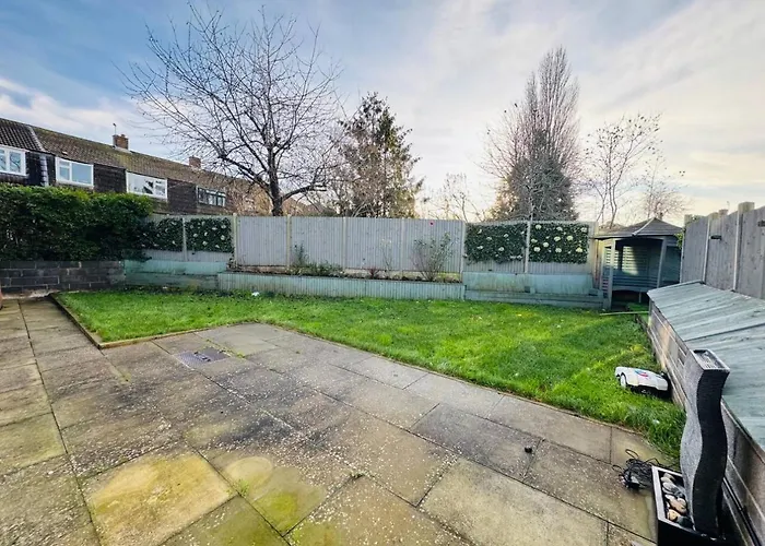 Luxurious House Villa *