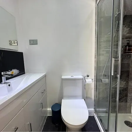 Luxurious House 别墅